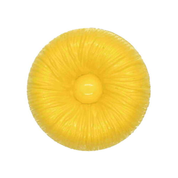 Yellow coat buttons